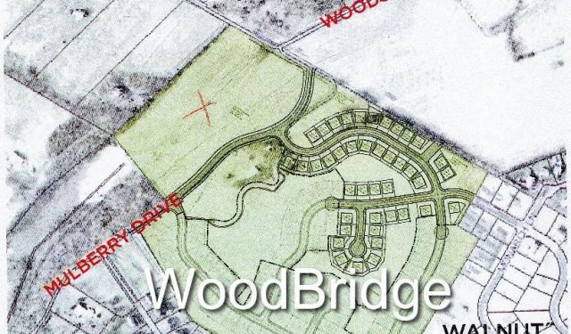 woodbridge project